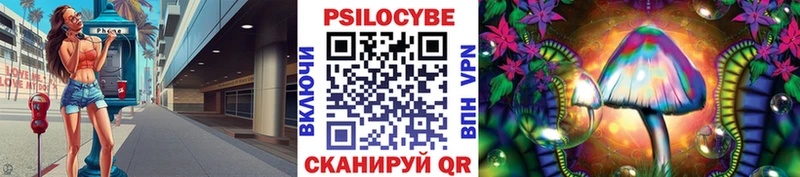 цены Ртищево Галлюциногенные грибы Psilocybe