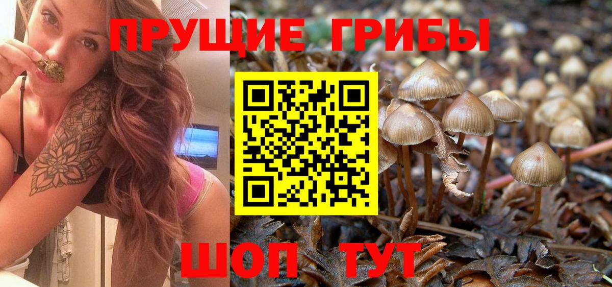 Ртищево  Галлюциногенные грибы MAGIC MUSHROOMS  Вход с VPN 