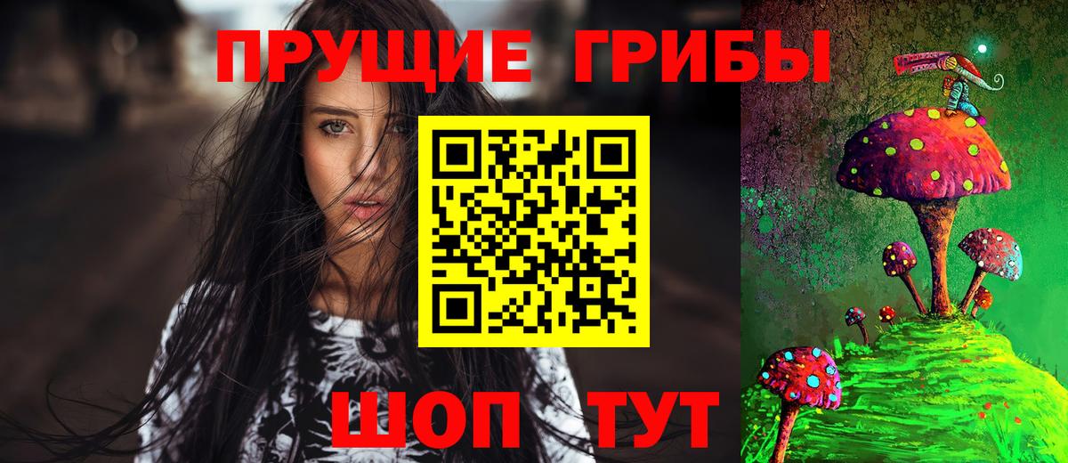 Галлюциногенные грибы Psilocybine cubensis Ртищево